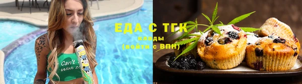 гидра Верхний Тагил