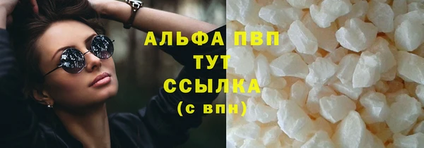 гидра Верхний Тагил