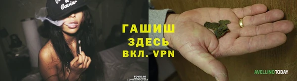 гидра Верхний Тагил
