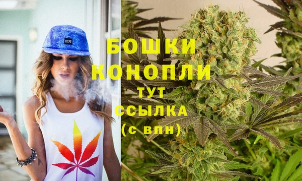 гидра Верхний Тагил