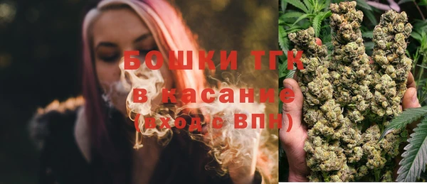 гидра Верхний Тагил