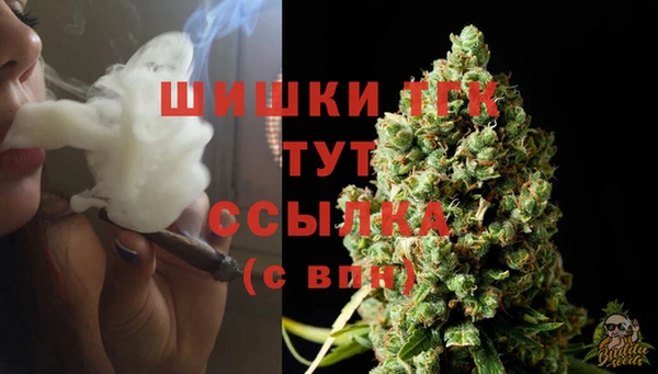гидра Верхний Тагил