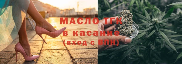 гидра Верхний Тагил