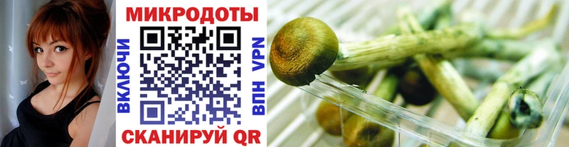 где продают наркотики  MEGA ONION  Псилоцибиновые грибы прущие грибы  Медногорск 
