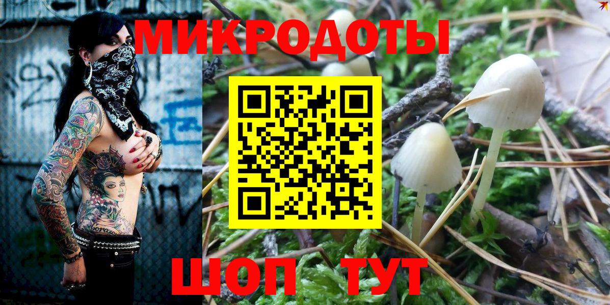 Псилоцибиновые грибы MAGIC MUSHROOMS  Вход с VPN  Медногорск 